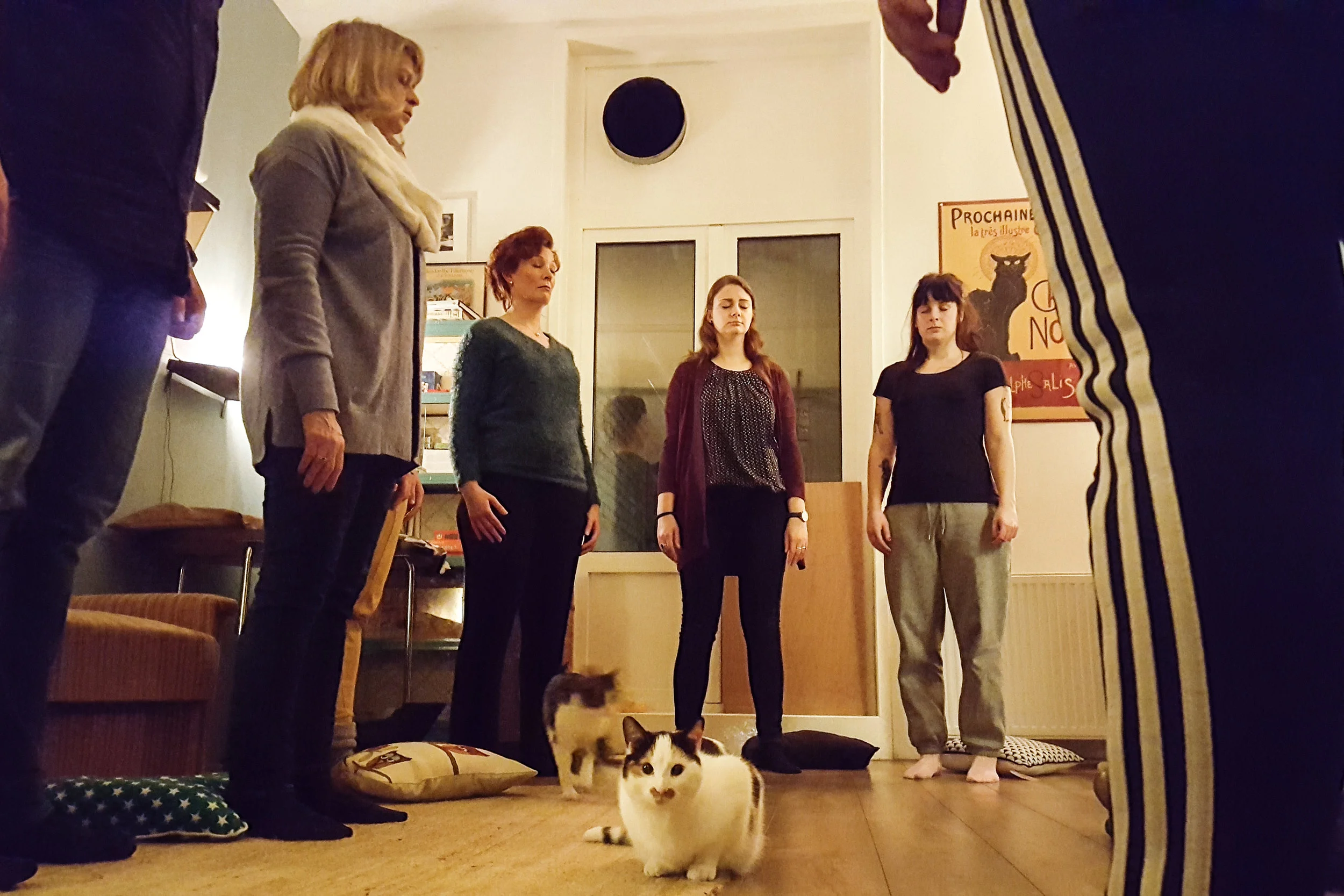 Kattencafé-4.jpg