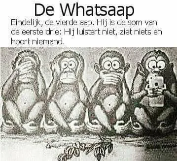 26903704_140212343447624_588814010907349776_n.jpg