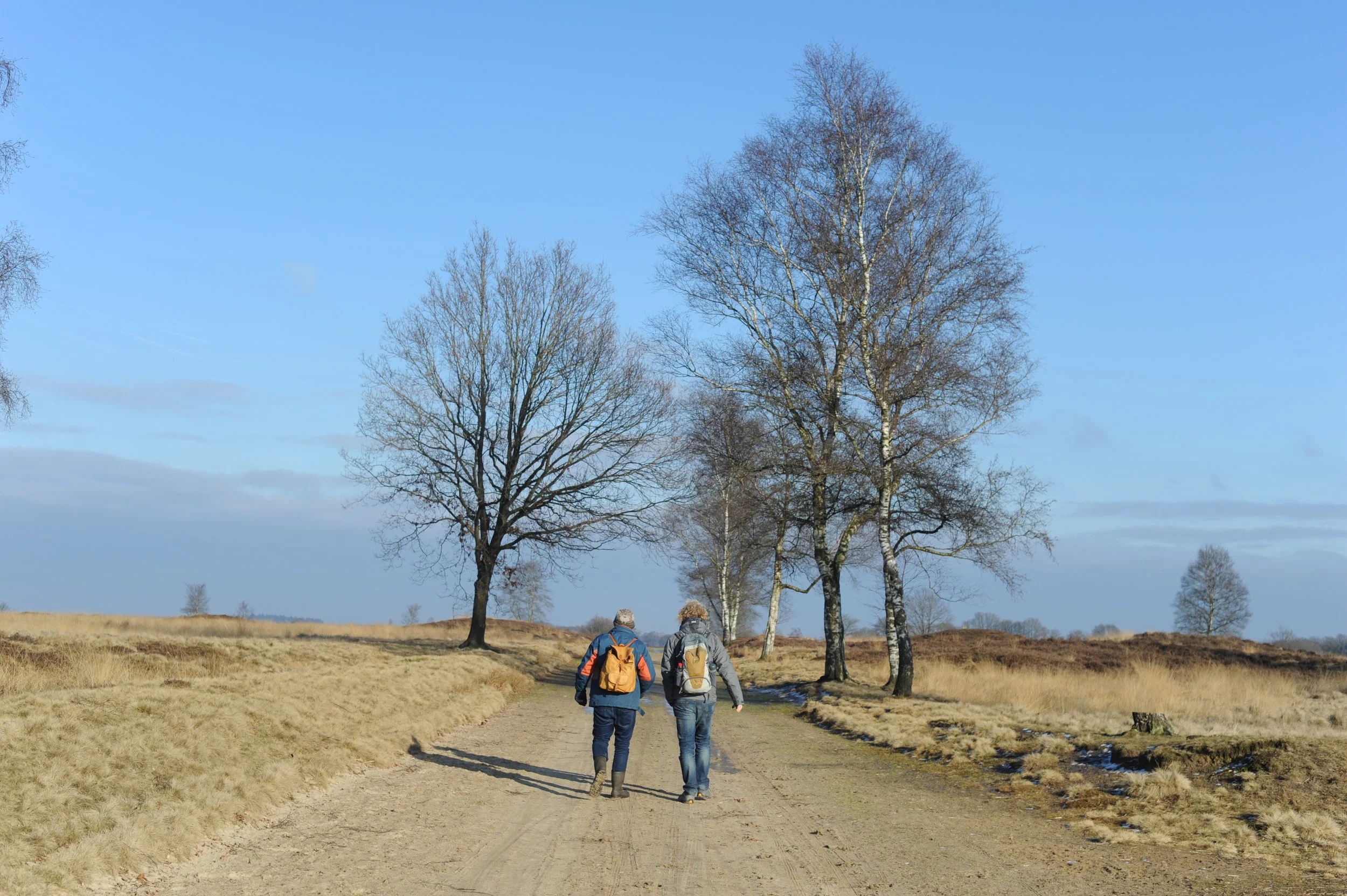 Retraite: De kracht van stilte &amp; natuur 