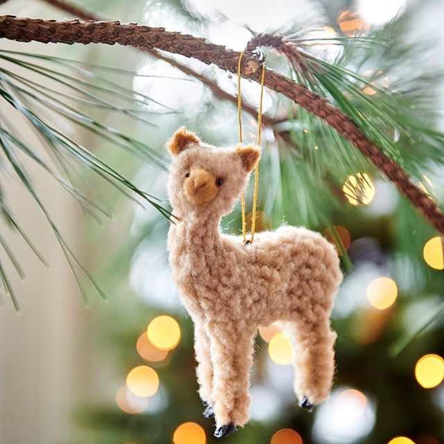 We have no more classes until jan 4th. So in the meantime we have alpaca&rsquo;s in our christmas tree to not miss them too much. See bio for more info.  #alpaca #alpacasofinstagram #christmas #christmastree #tekoopbijkarwei