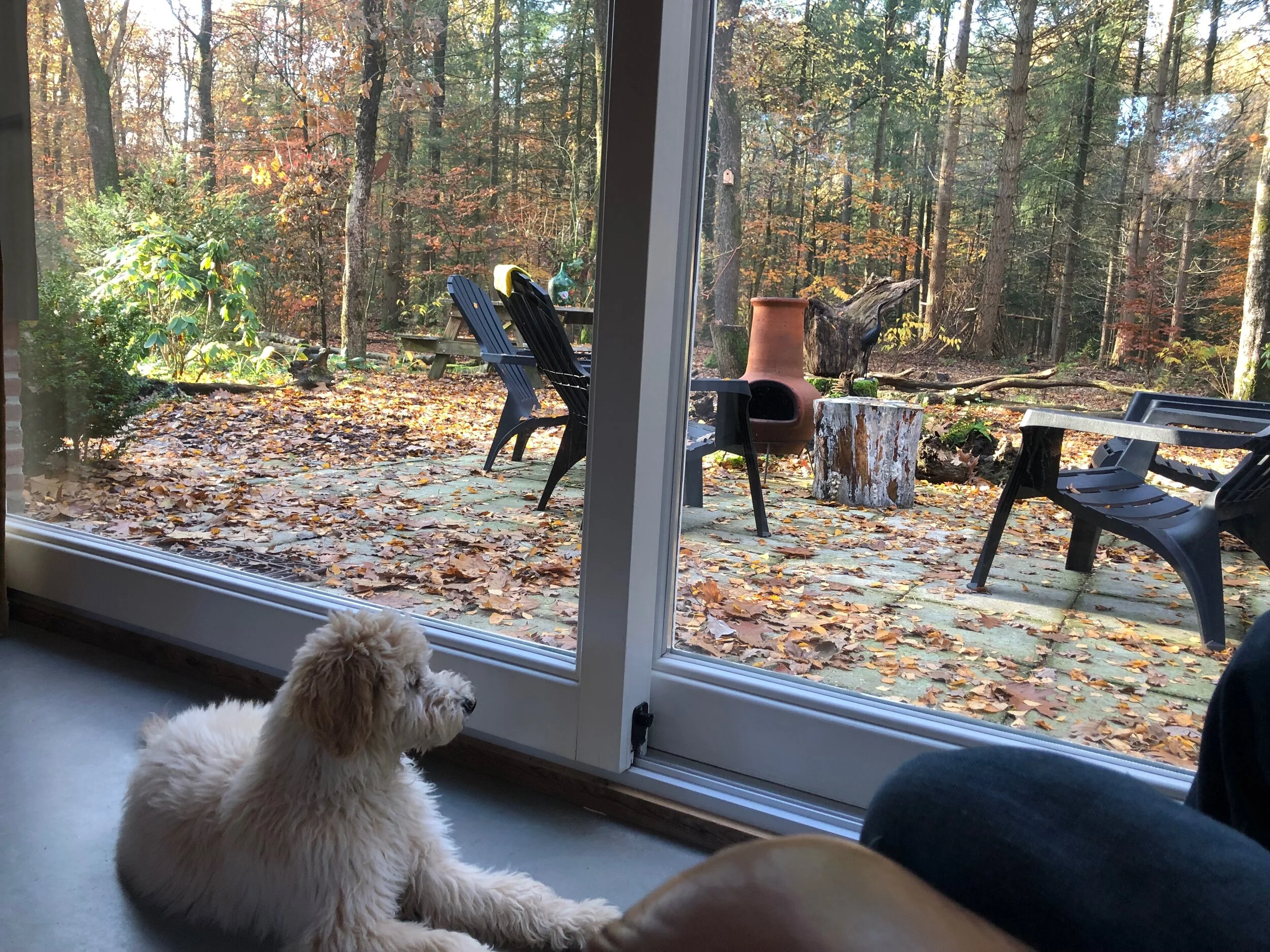 Thuis Retraite - Winter editie