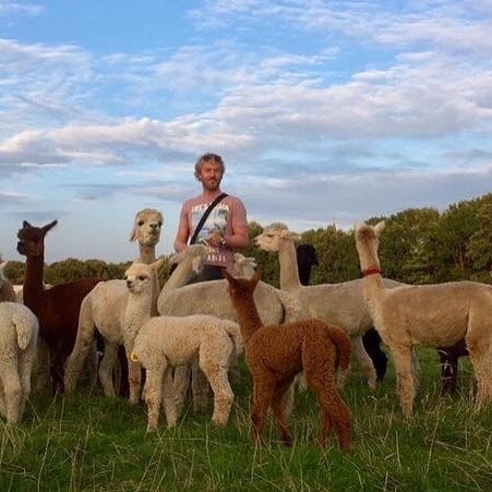 Oh how i miss these moments with the alpacas #lockdown #alpaca #mindyournature #offlinemindfulness