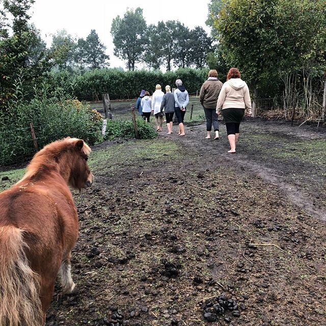 Sommige deelnemers zijn echte durvals en schrikken niet van een beetje modder. Ik (Mirjam) moest zelf wel even wennen en het duurde dan ook een aantal retreats voordat ik ook met Pascal mee ging de wei in.
Het gevoel van blote voeten op het gras vind