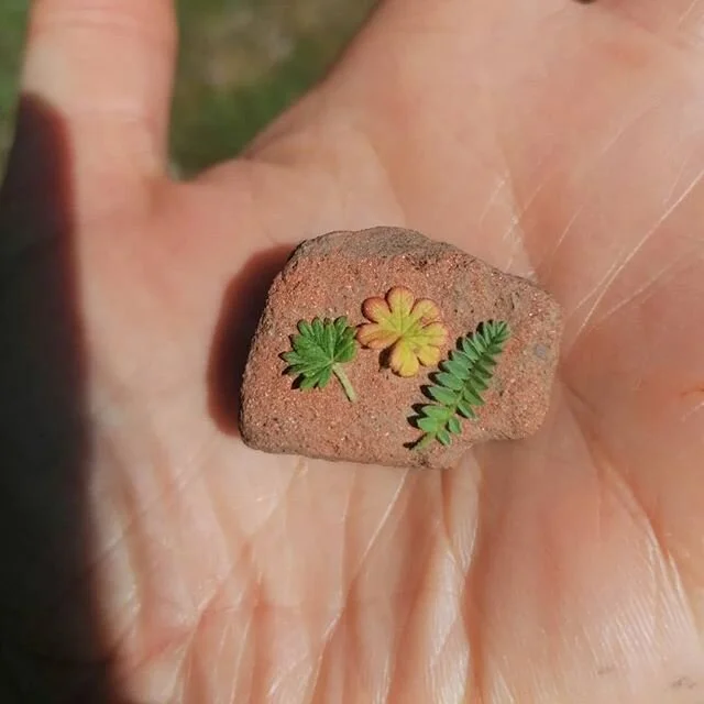 Oog hebben voor het kleine en bijzonder mooie in de natuur.
Ga maar eens op het gras liggen. Er gaat een wereld open voor mijn ogen. Kleine plantjes, bloemetjes, beestjes, steentjes...
En als we daar dan liggen, op de aarde... Ons zenuwstelsel kalme