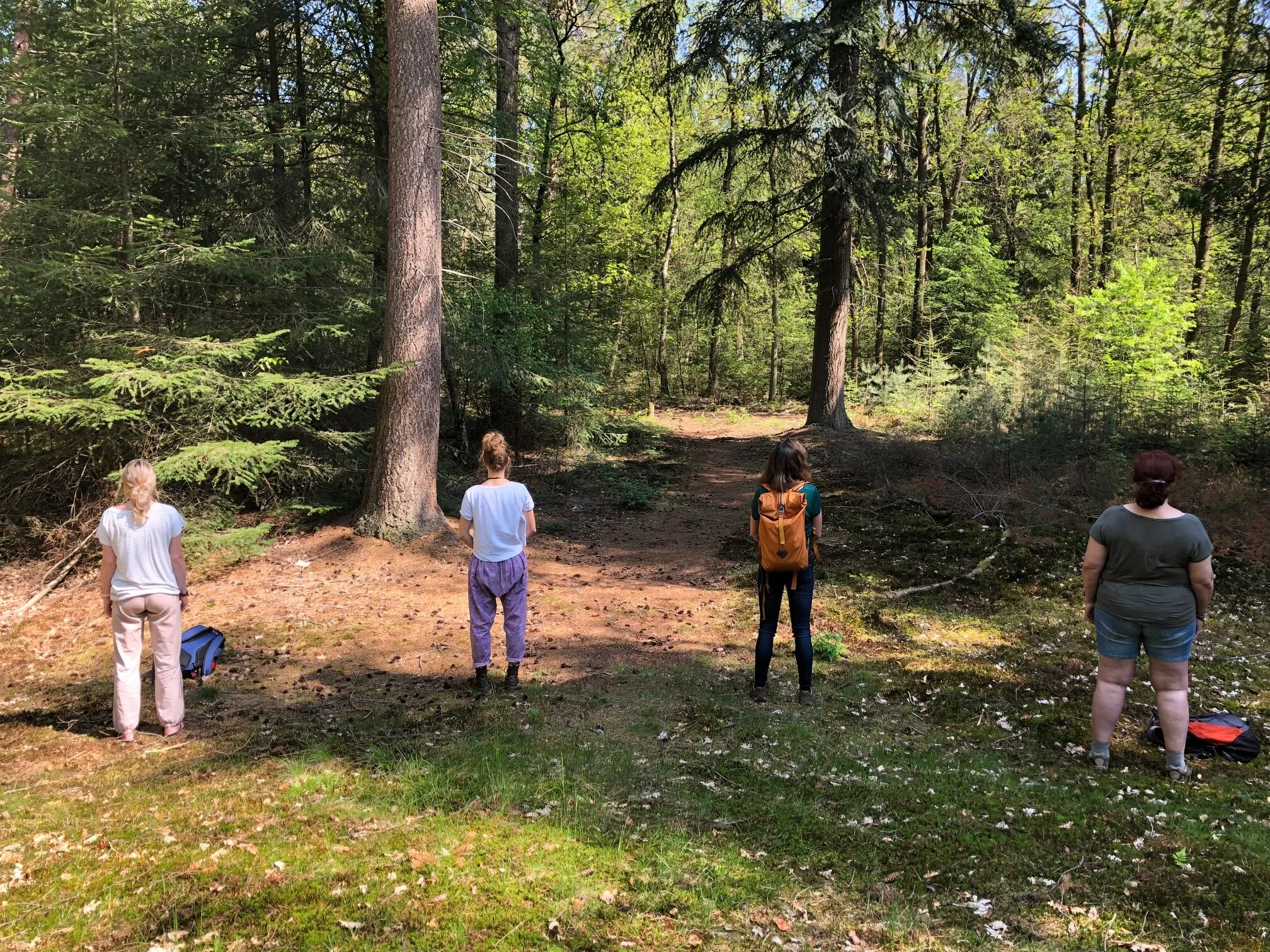 Mindful herfstwandeling