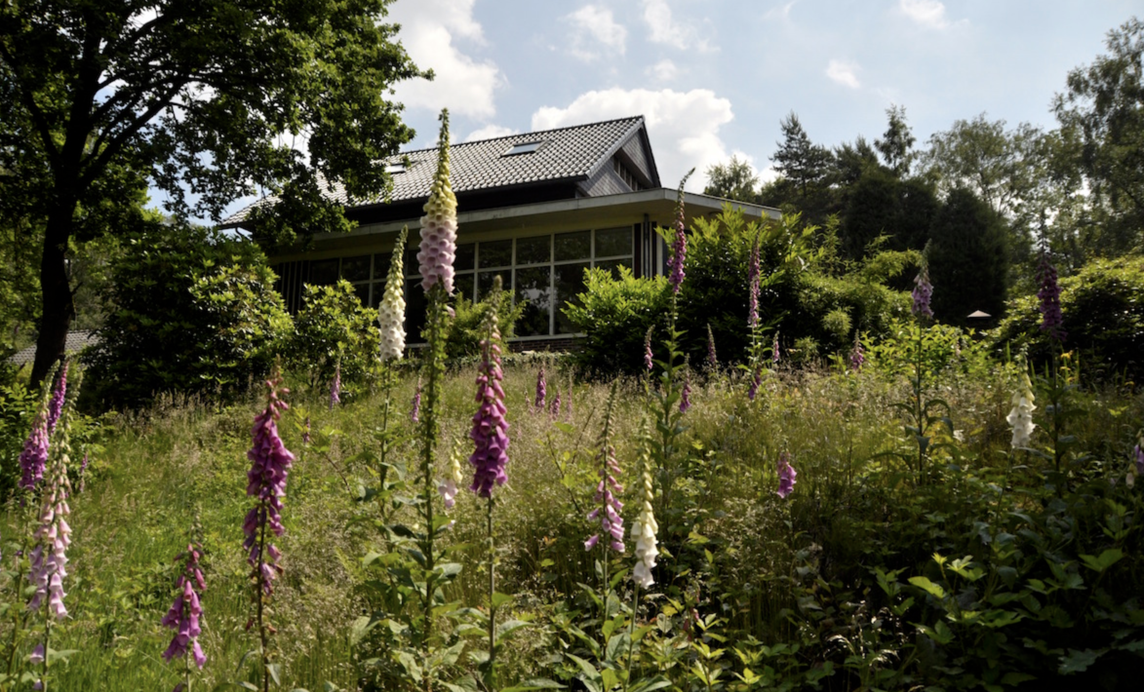 De hoeve ligt midden in de natuur