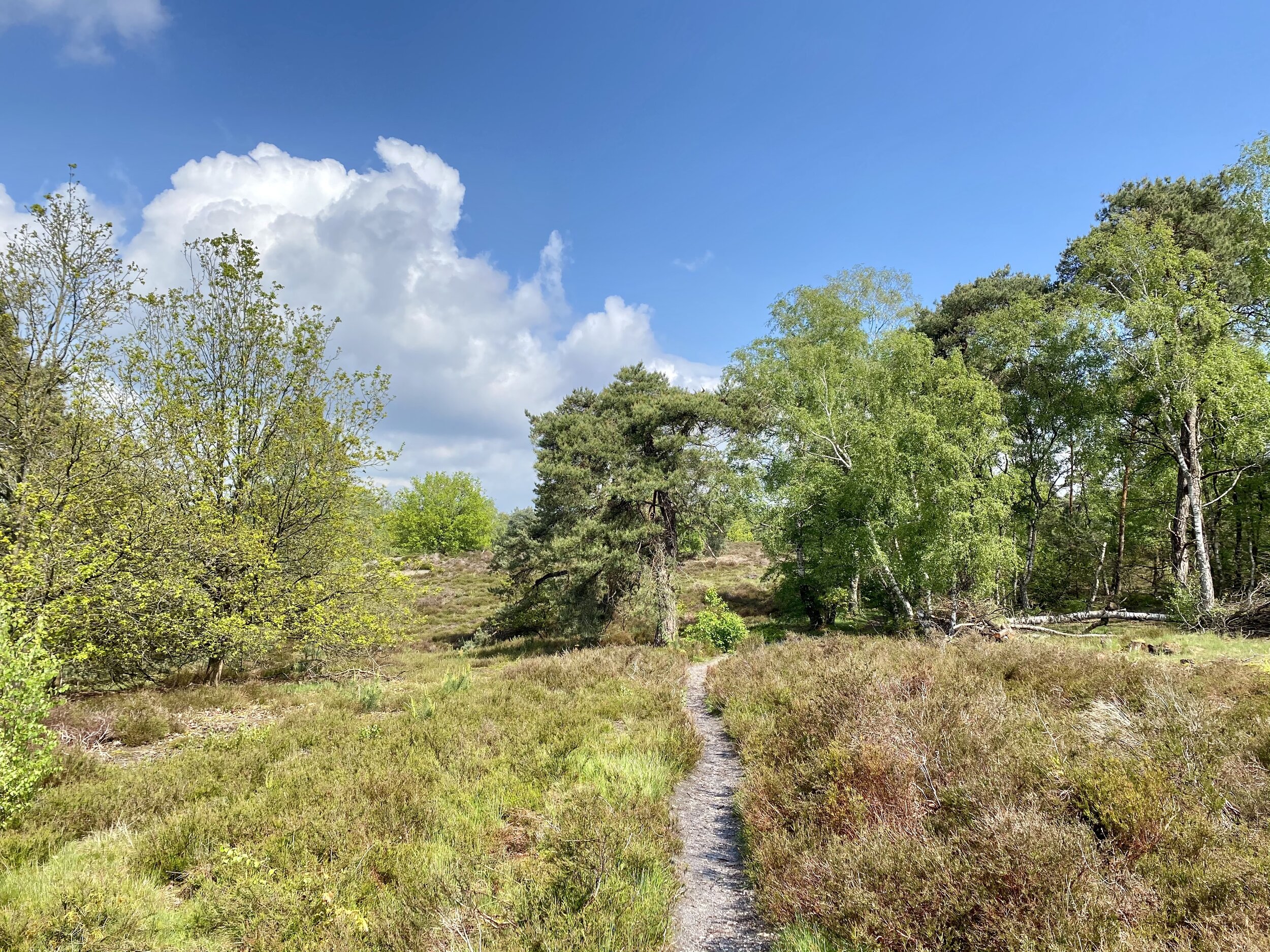 Vanuit de tuin loop je zo het natuurgebied in