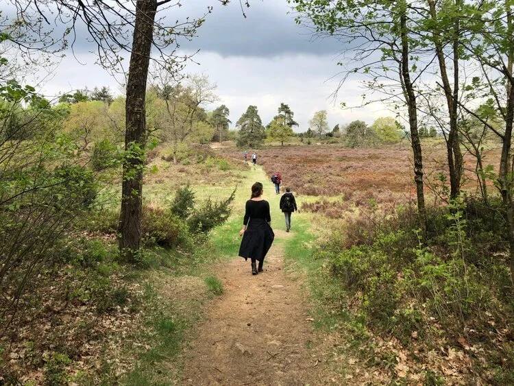 Kom tot rust tijdens een van onze bosbadsessies