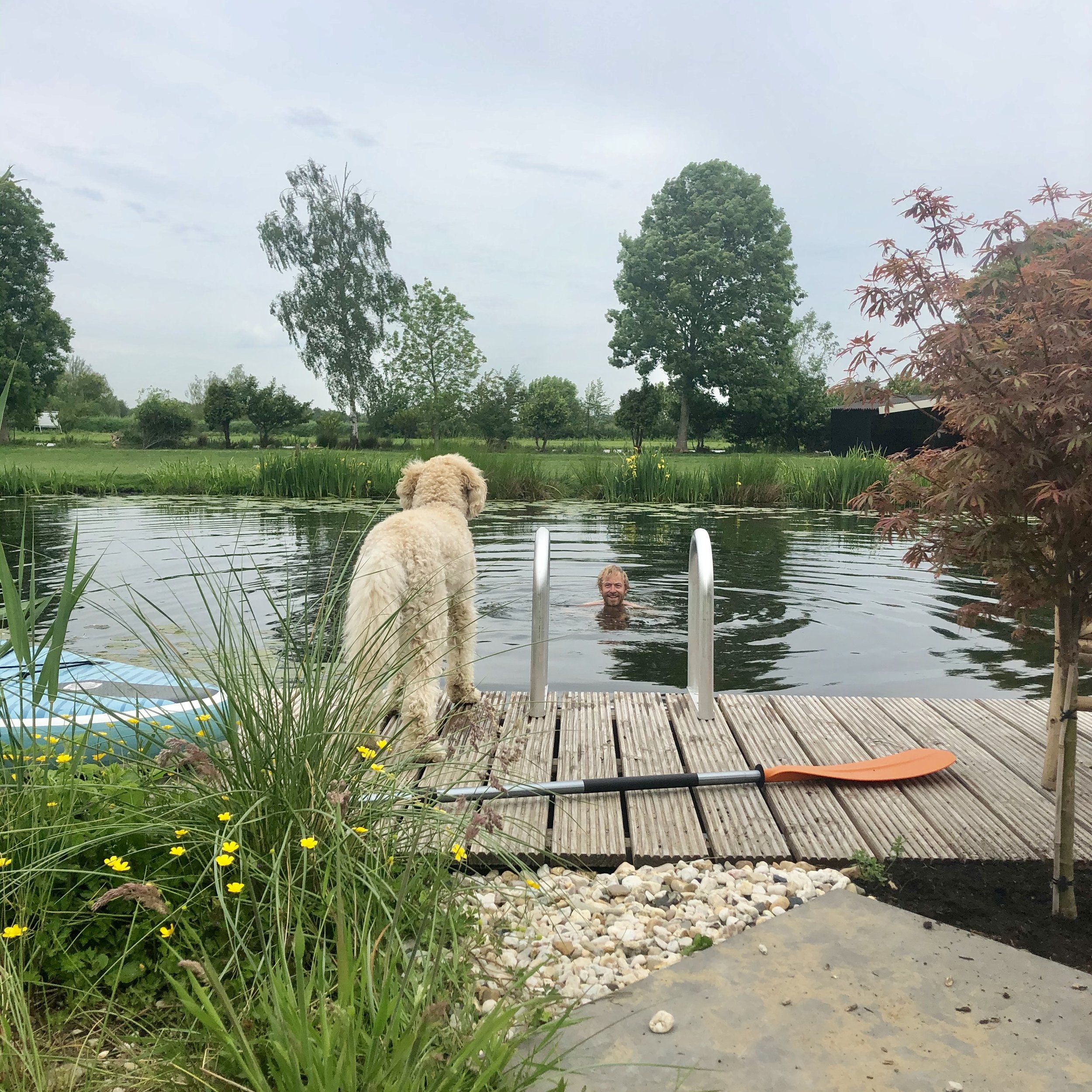 Neem zelf ook een heerlijke duik in het zwemwater