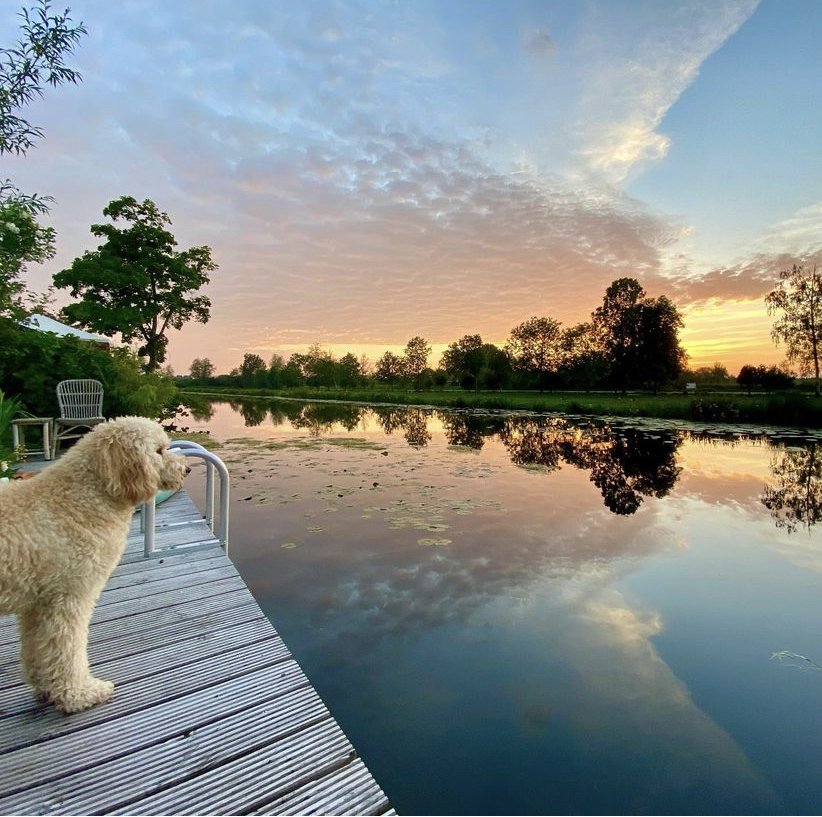 Natuurlijk geniet je vanaf de steiger van een schitterende zonsondergang