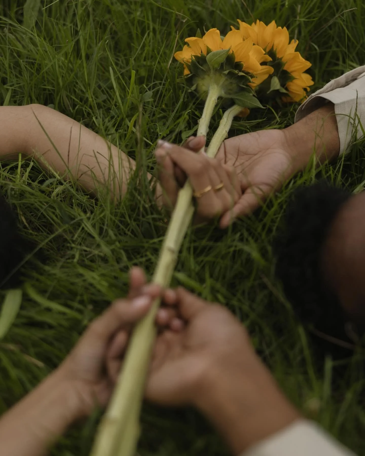 The two of them.

Azores.

We moved through the island slowly, almost like scenes from a film.