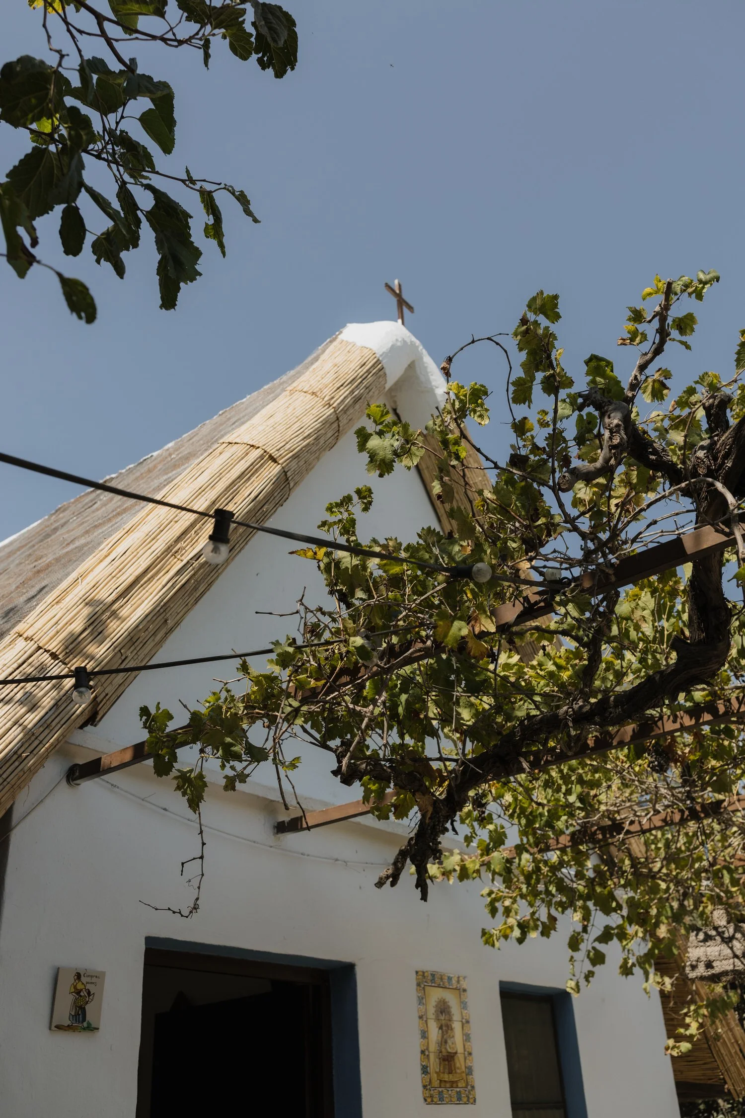 Traditional Valencian barraca with a thatched roof and wooden cross, framed by vine branches and string lights under a clear blue sky.