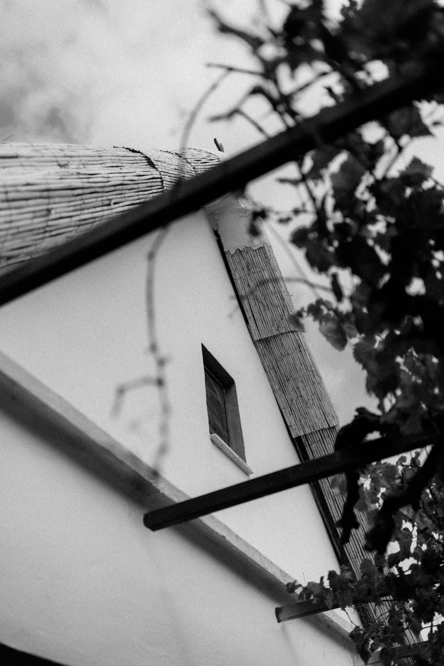 Abstract black and white detail of the traditional barraca architecture at La Barraca del Palmar