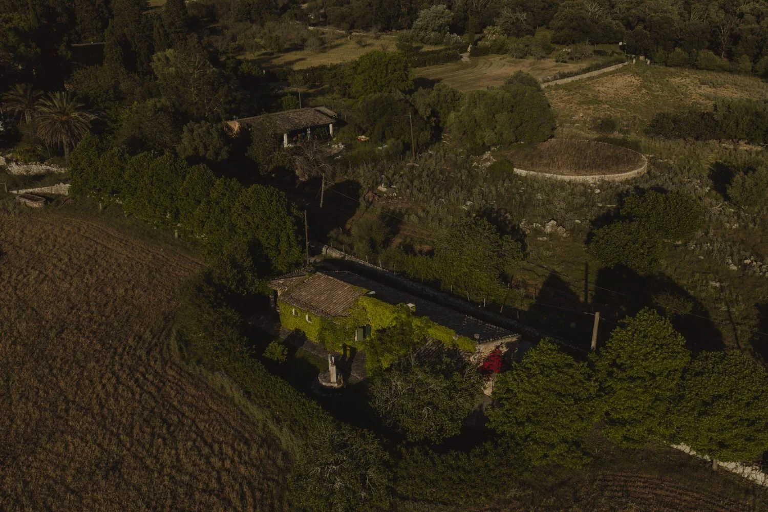 Traditional Mallorcan countryside finca surrounded by olive trees and farmland.