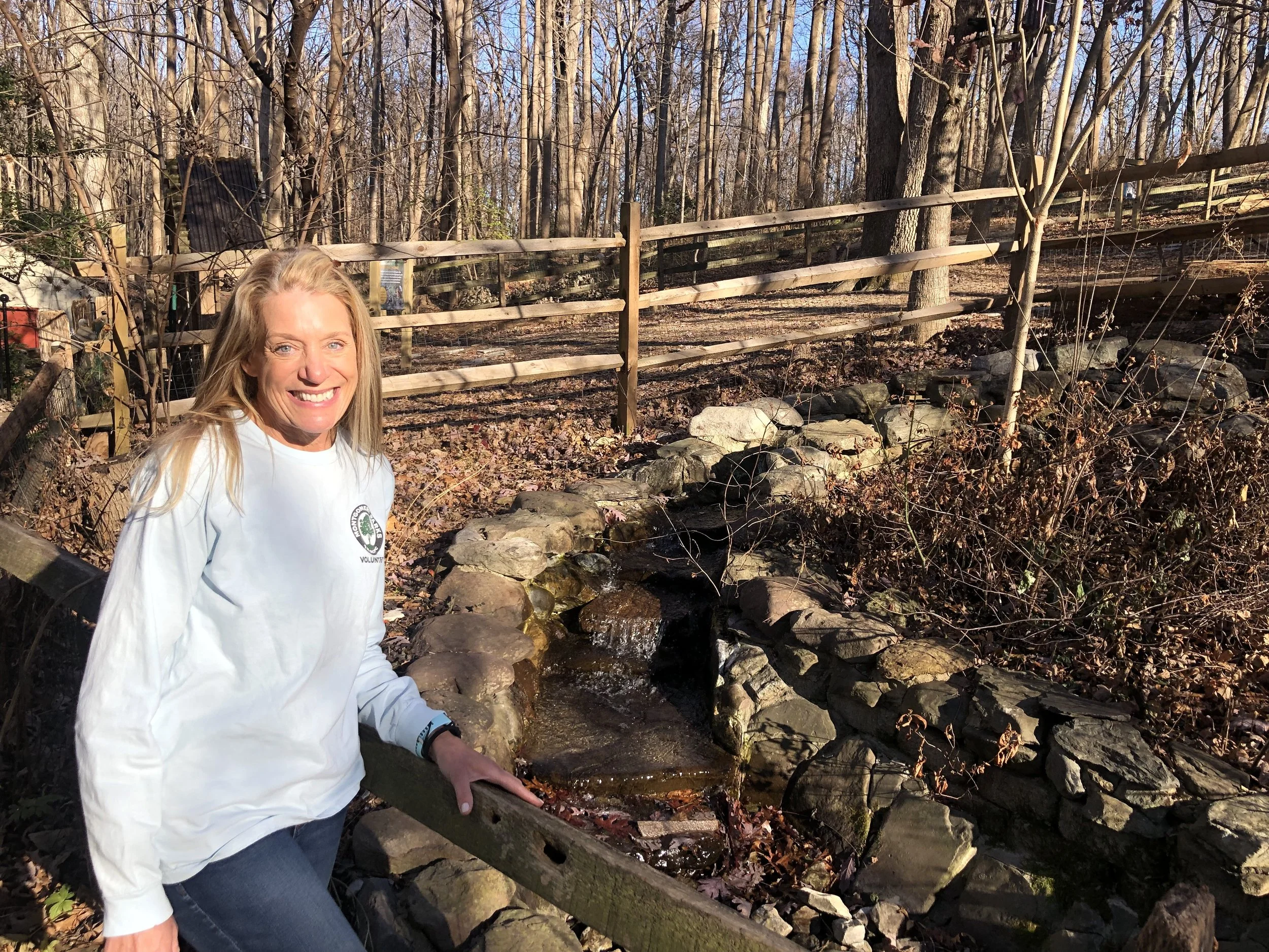 Seeing the forest and the trees