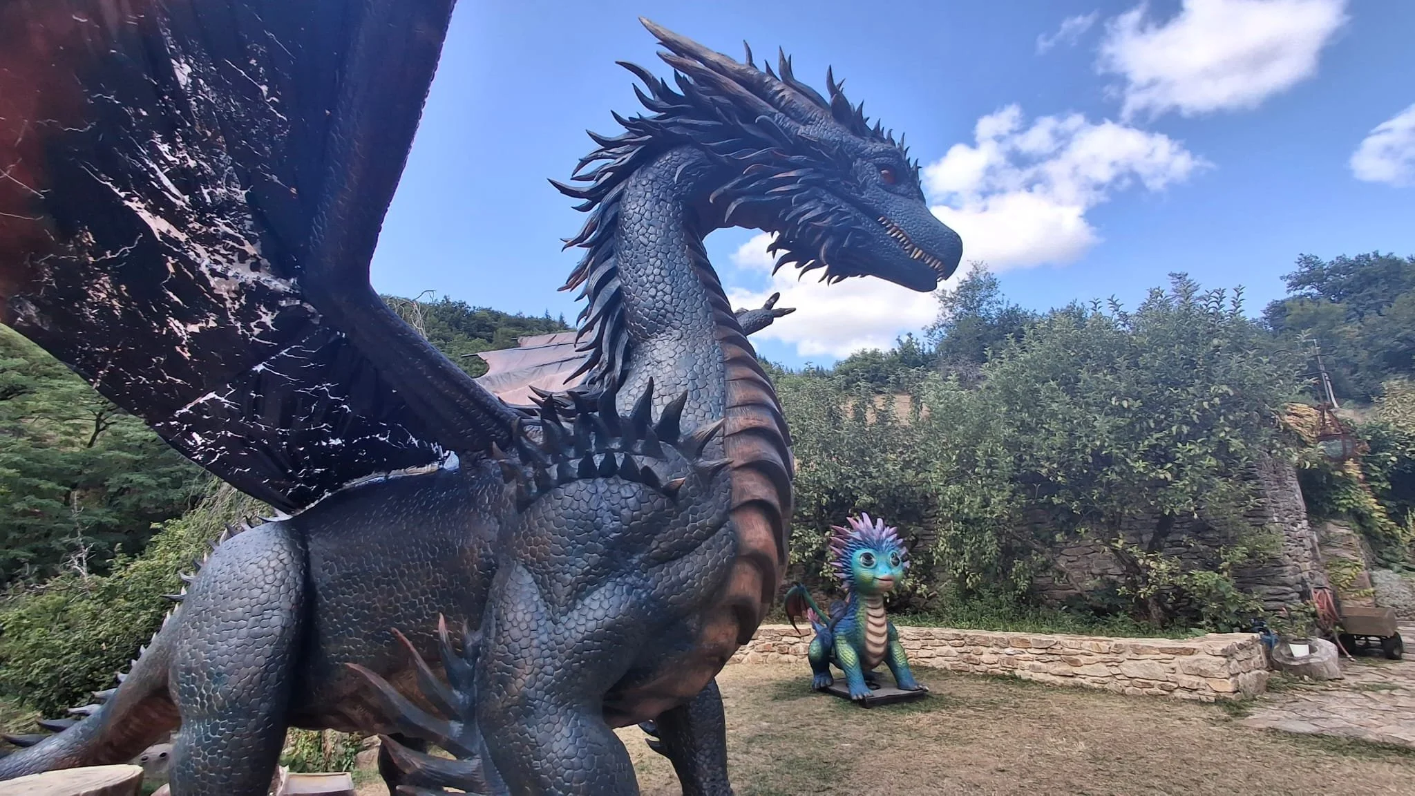 WhatsApp Image 2025-09-11 at 11.32.28.jpeg