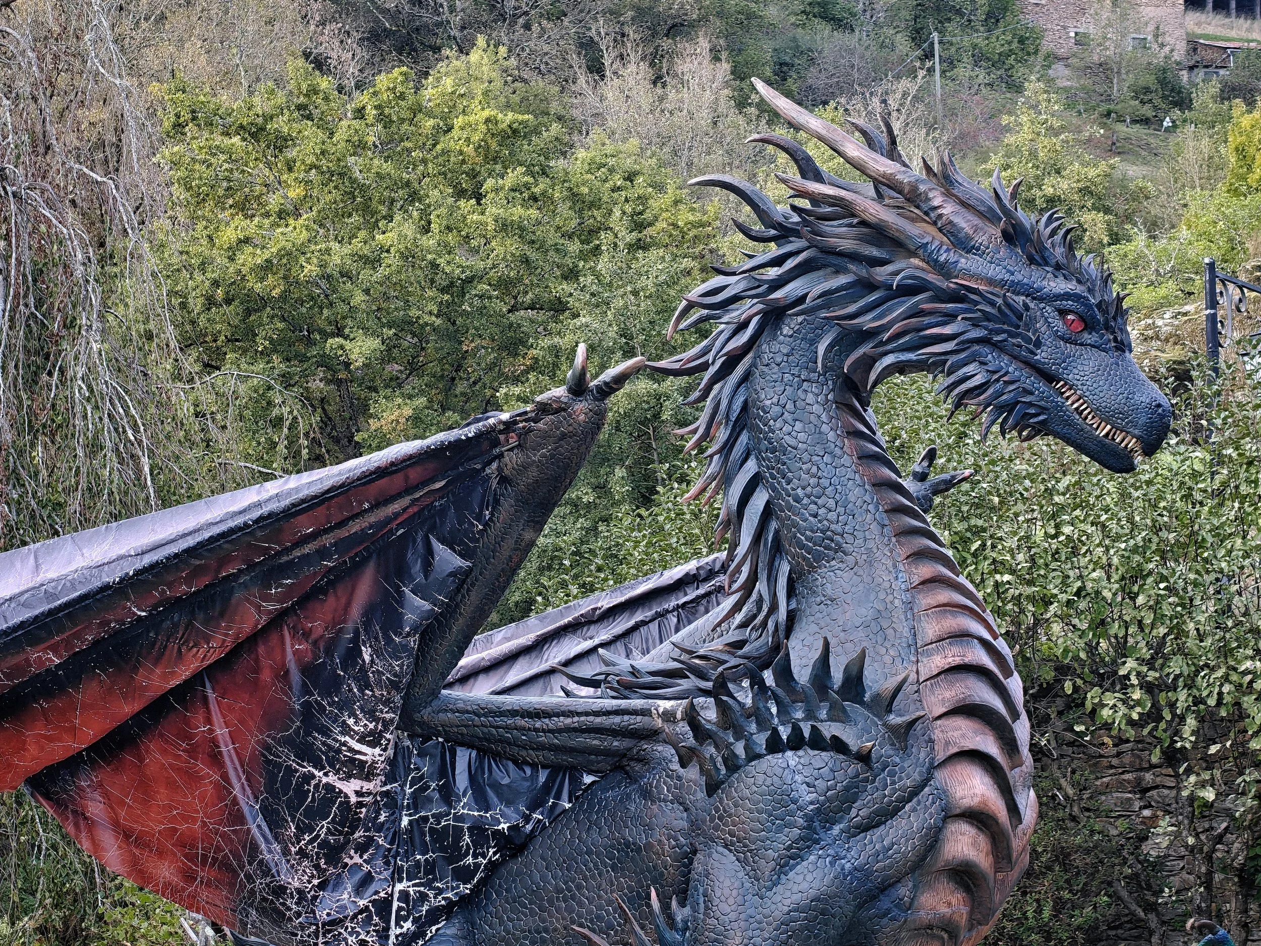 🇲🇫 Pass annuel - Adulte / 🇬🇧 Annual pass - Adult