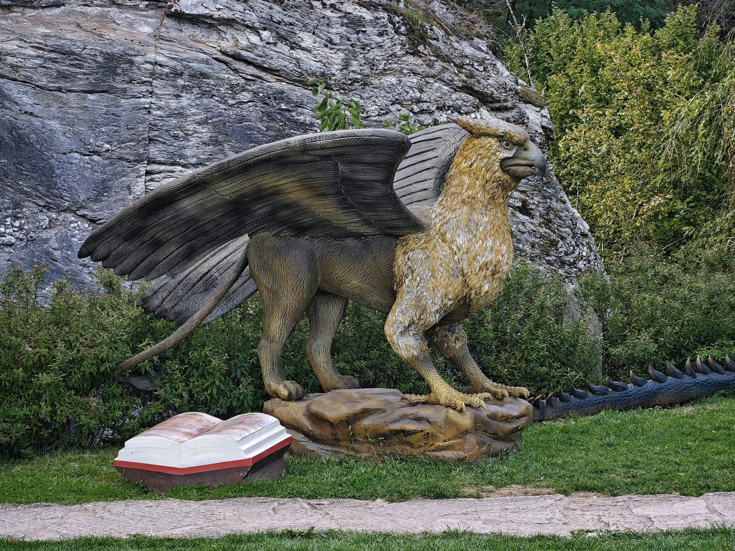 🇲🇫 Pass annuel - Enfant / 🇬🇧 Annual pass - Child