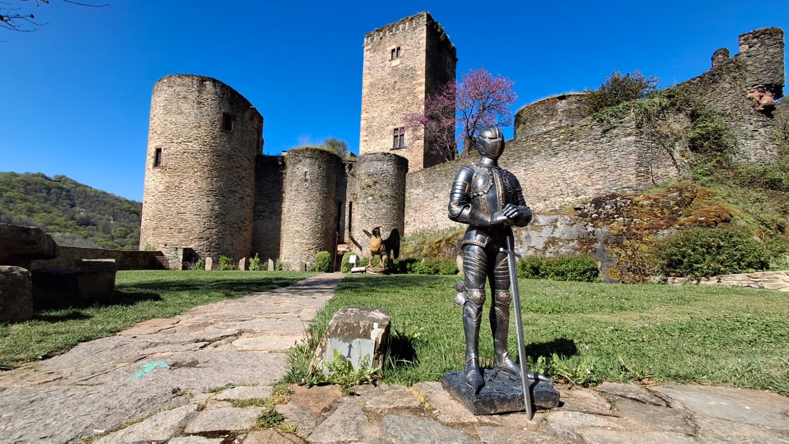 WhatsApp Image 2025-04-29 at 11.01.35.jpeg