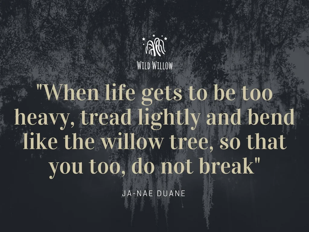 %22when life gets to be too heavy, tread lightly and bend like the willow tree, so that you too, do not break%22.jpg