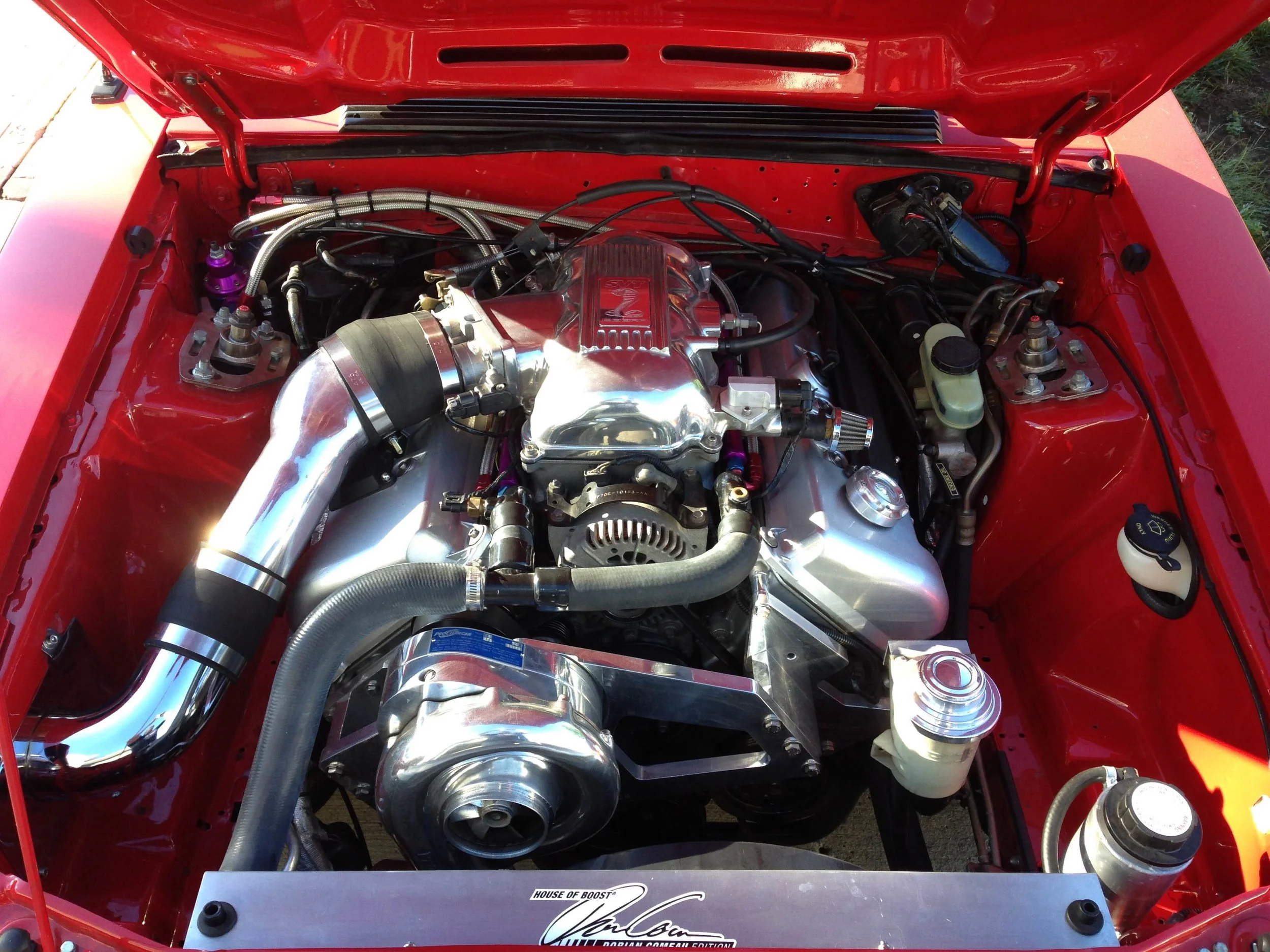 sa10_5506-770x450.jpg