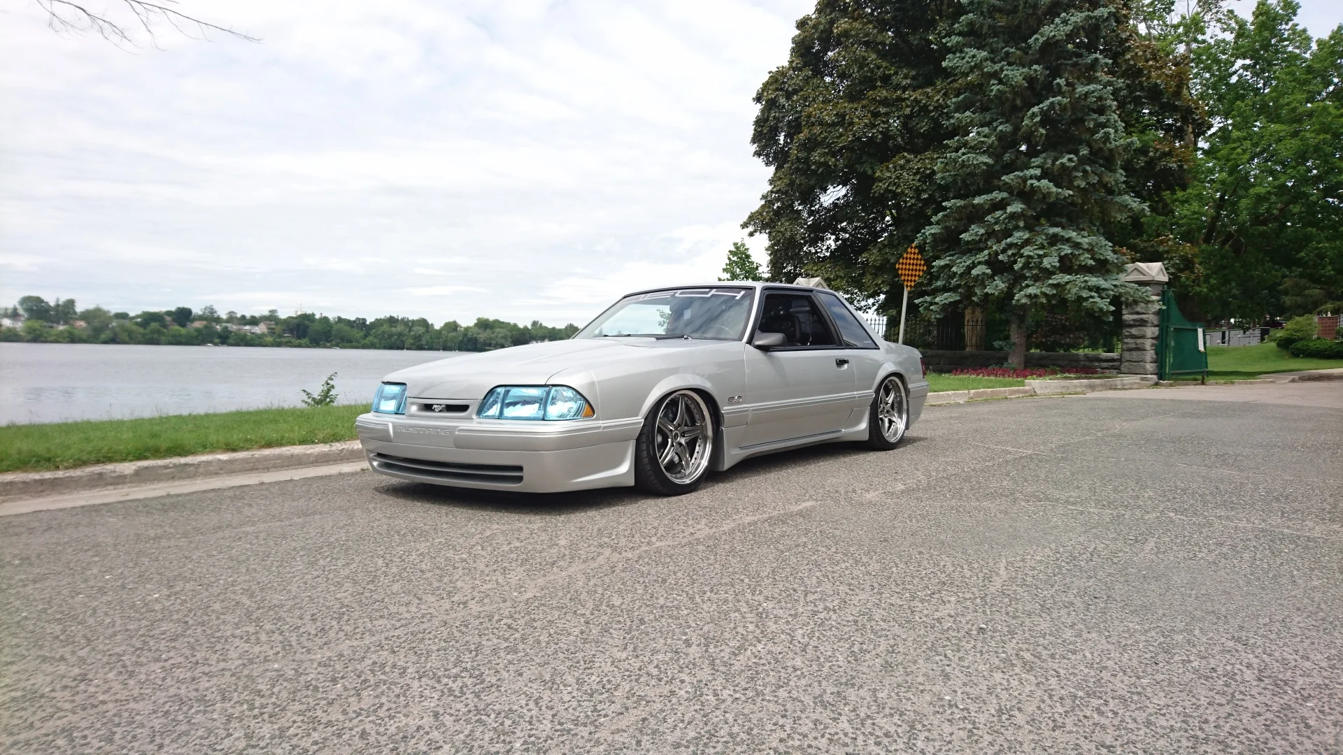 Dech.Mustang.12.jpg