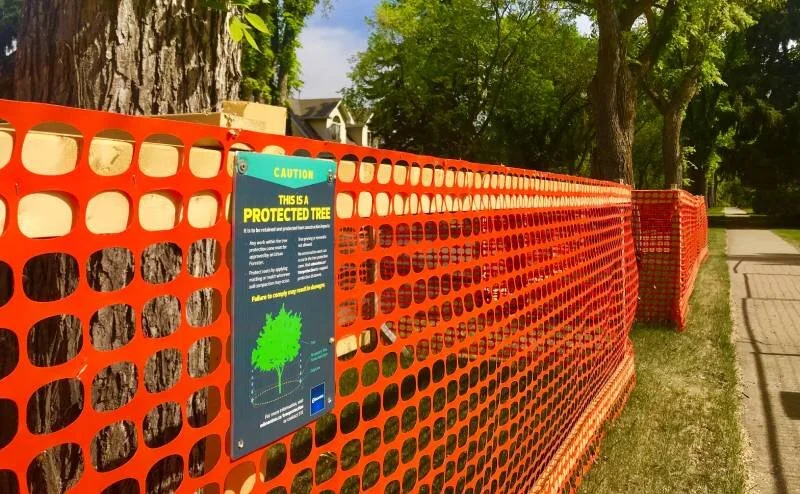 Draft Bylaw for Tree Preservation and Protection