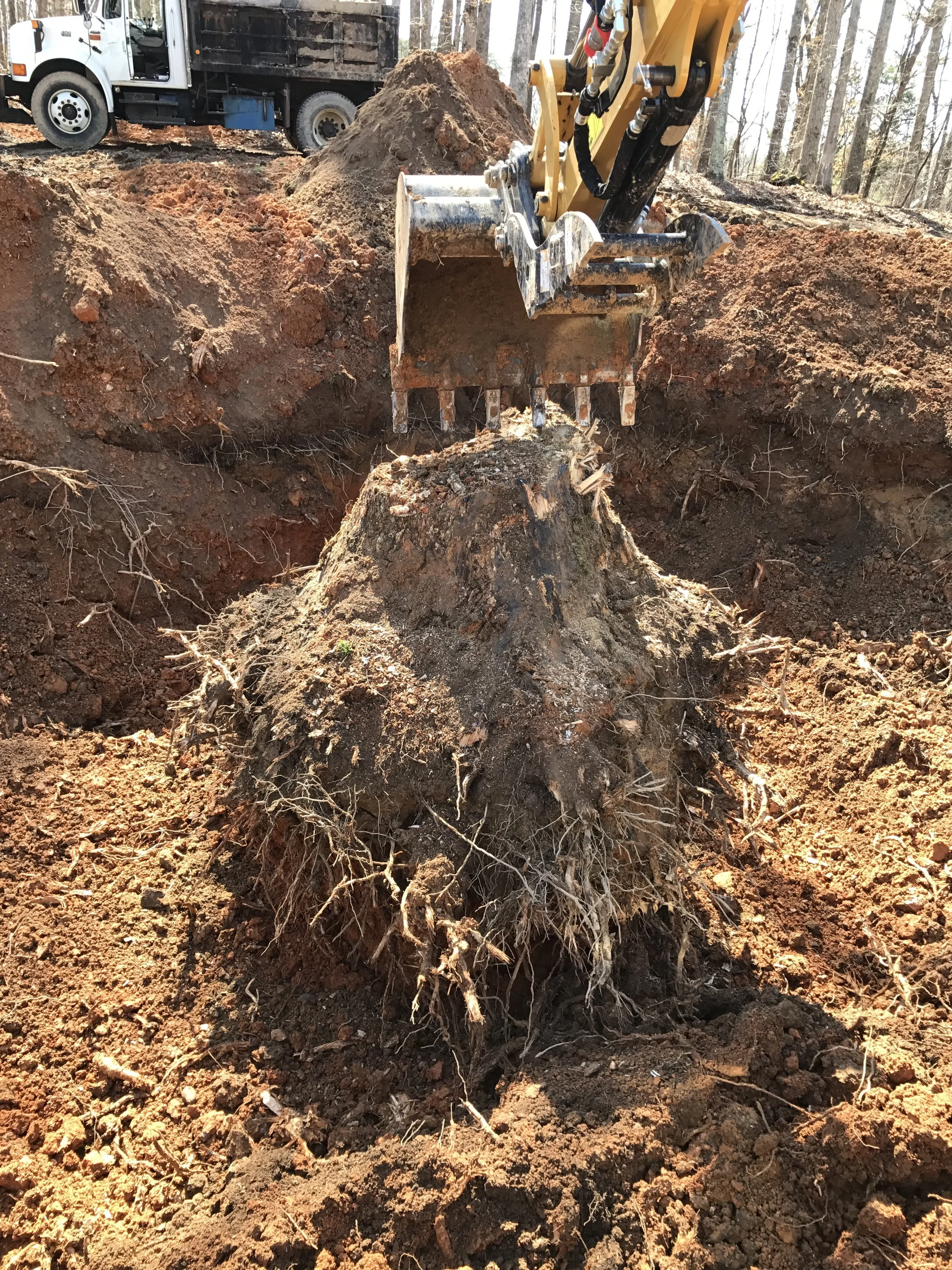 stump removal.JPG