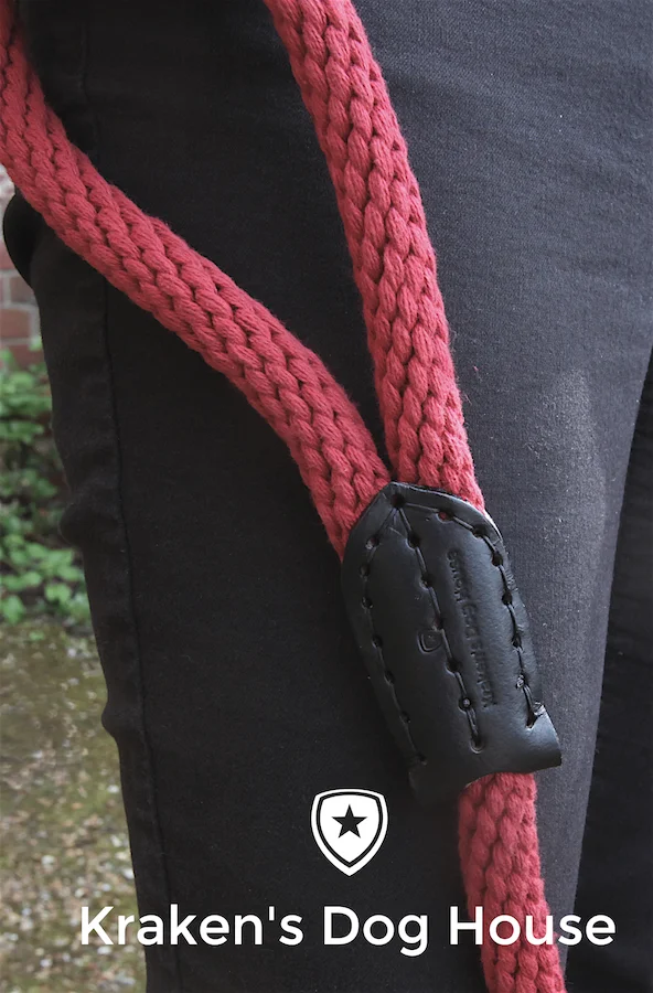Dog Slip Lead - Anti Choking Dog Leash for Large Dogs and