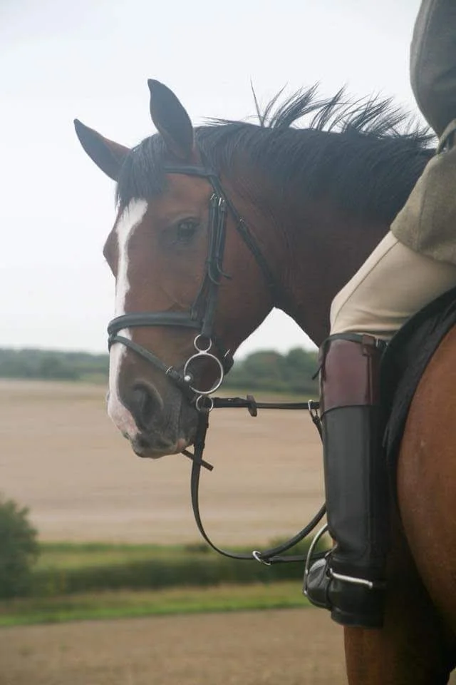 Patrick VIP Saddle PAds.jpeg