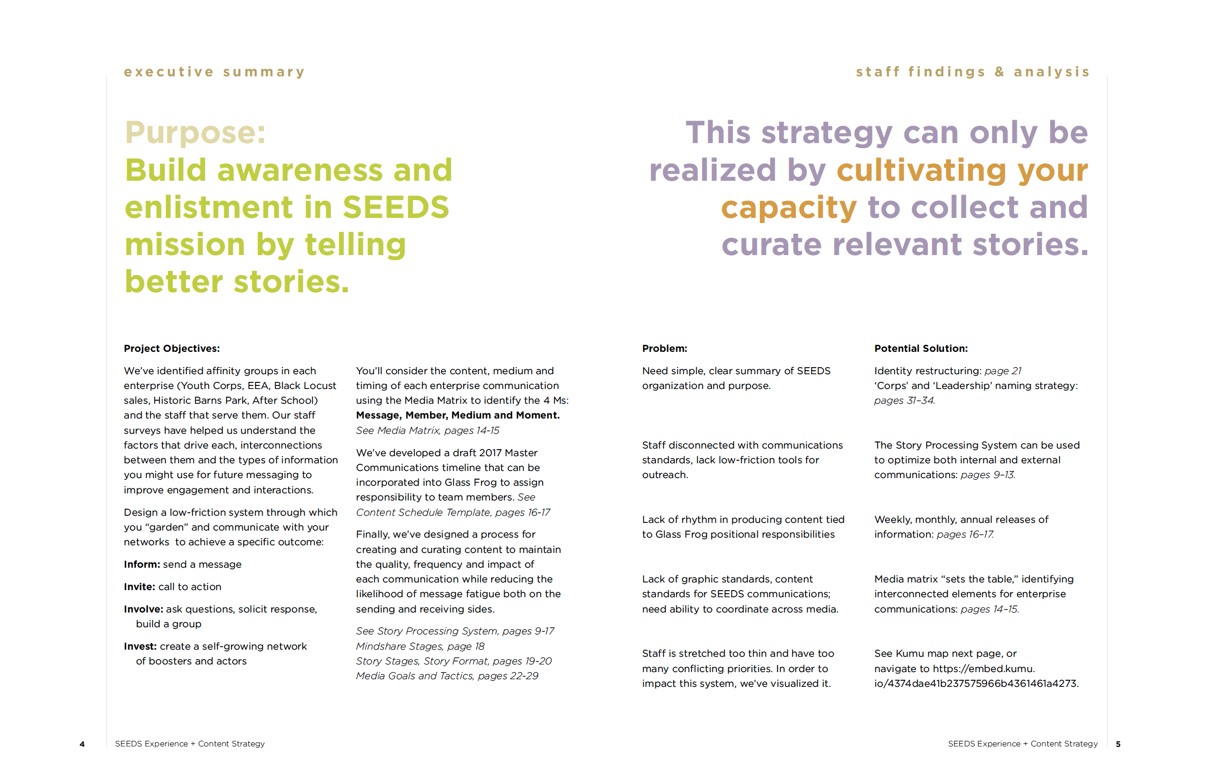 SEEDS content strategy executive summary, problem statements and potential solutions.