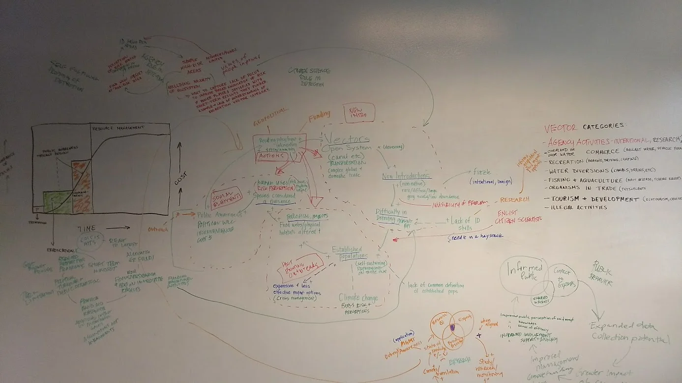 The result of a team workshop that describes the complexity of this issue.