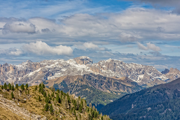DHP_7410-Edit-M.jpg