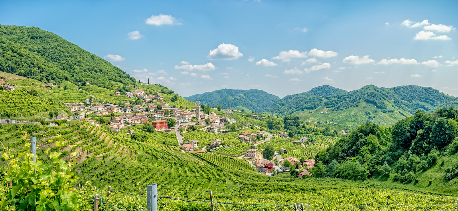 DSC_9395-Pano-Edit-X3.jpg