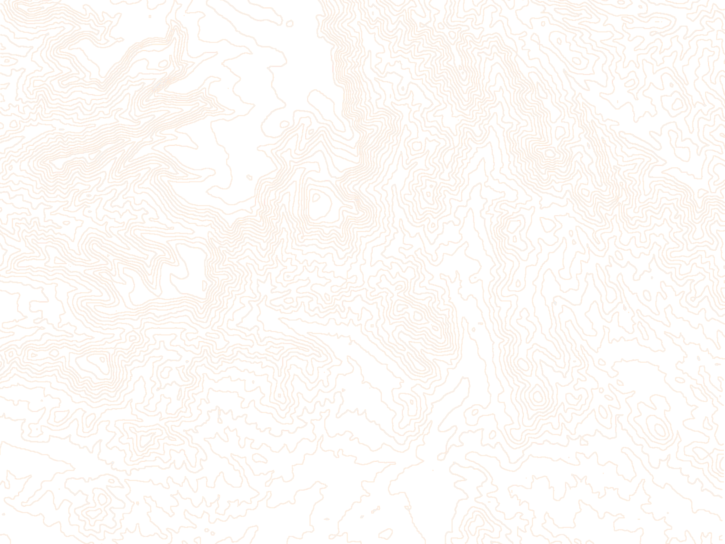 White-and-Orange.png