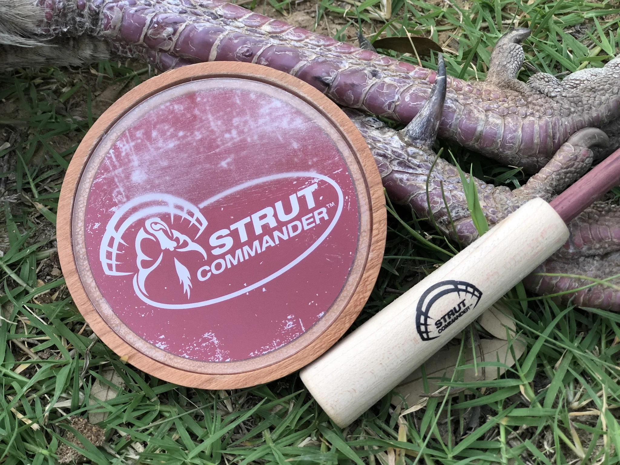 Turkey Calls: Our Top 3 Calls For Beginners