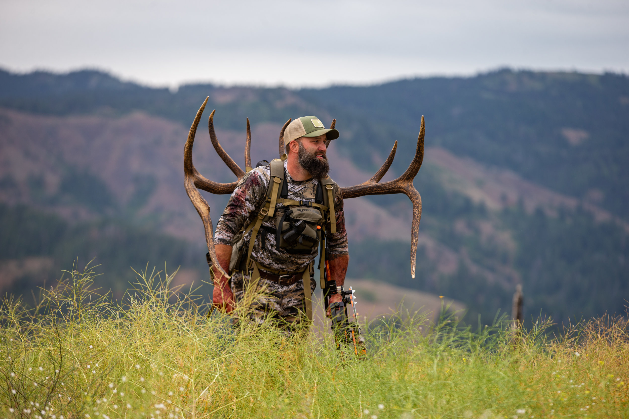 Elk Facts Hunters Need To Know