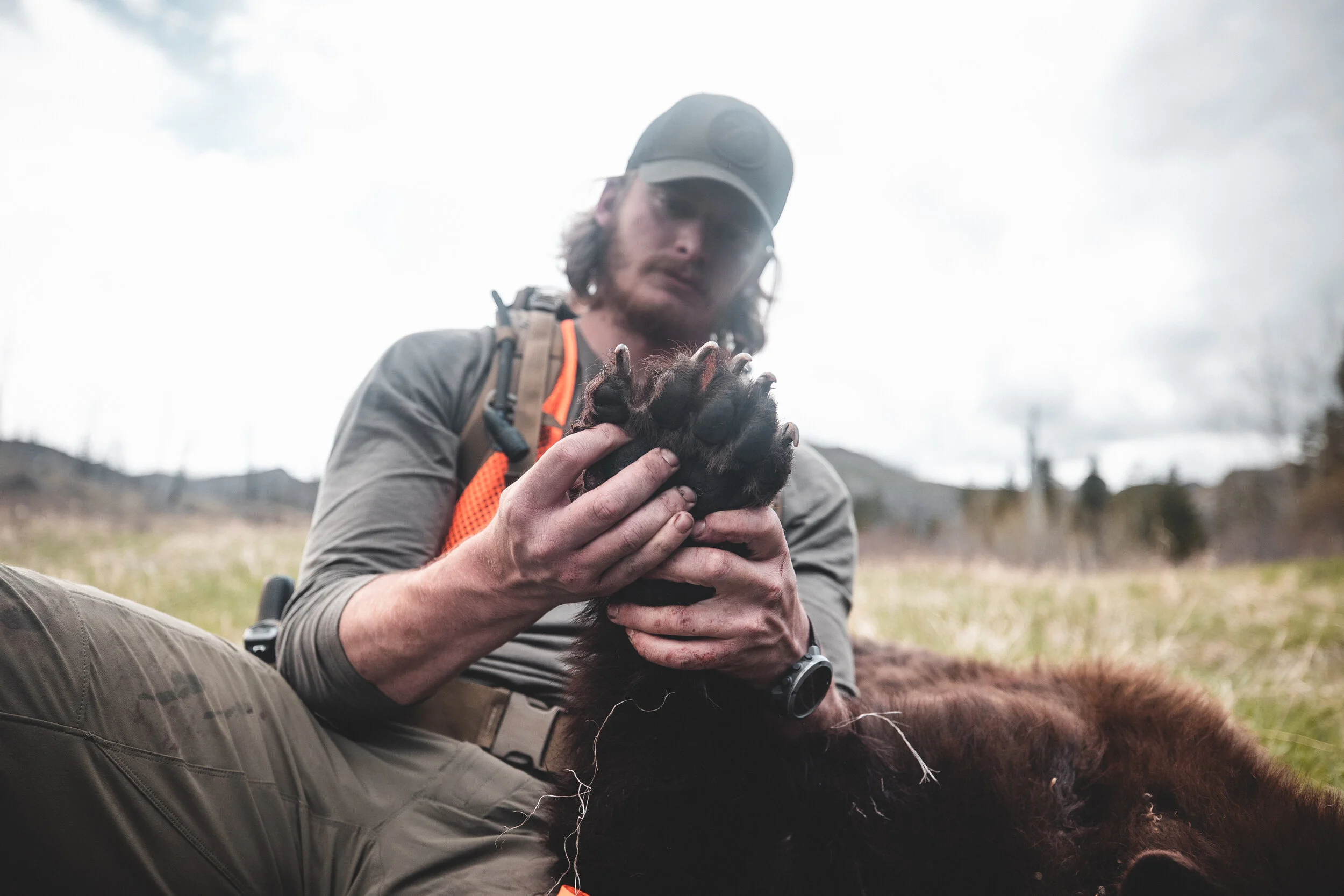 Spring Bear Hunting Basics
