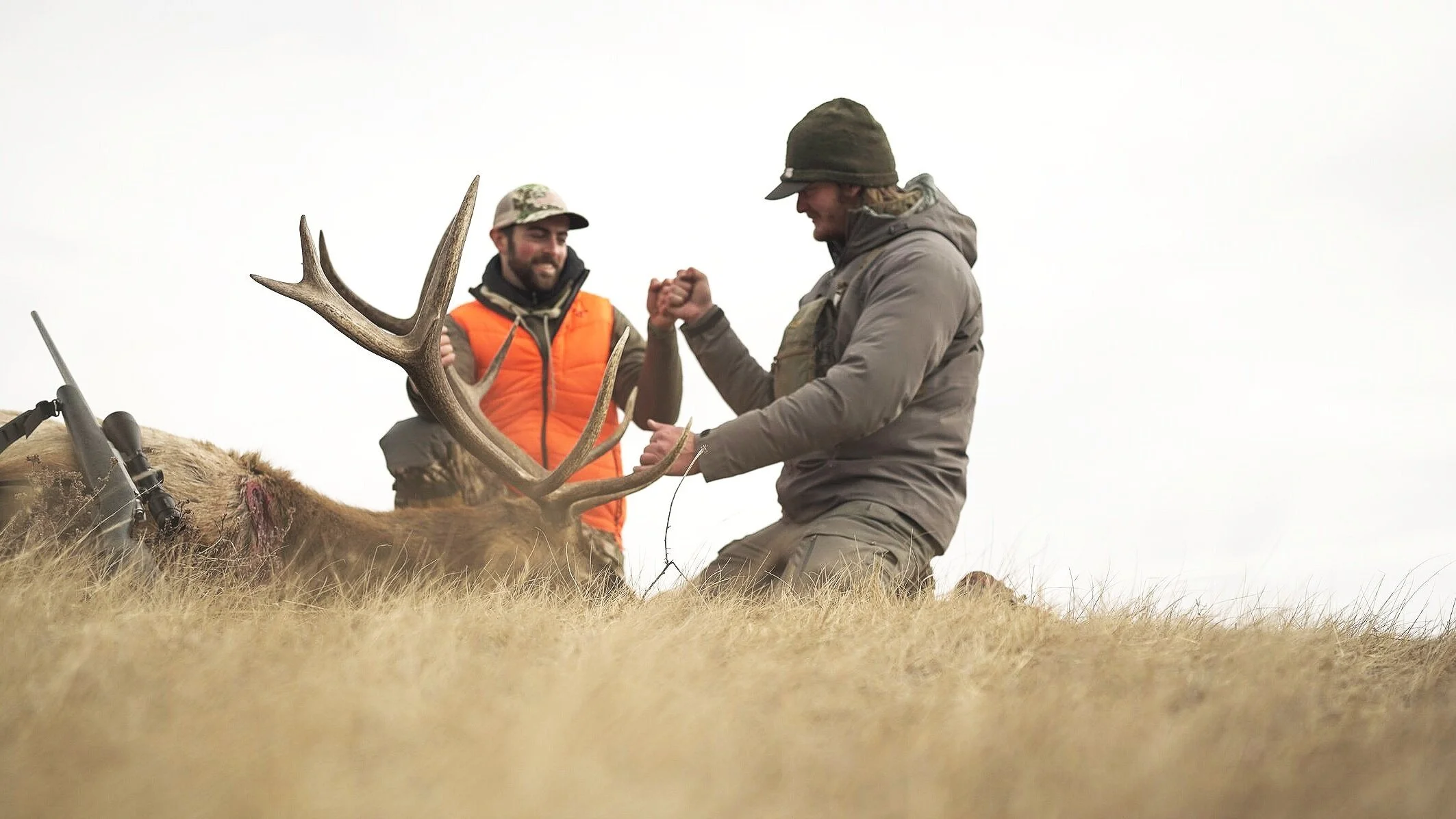 You Didn’t Draw A Deer/Elk Tag? - Top OTC Tag Opportunities 
