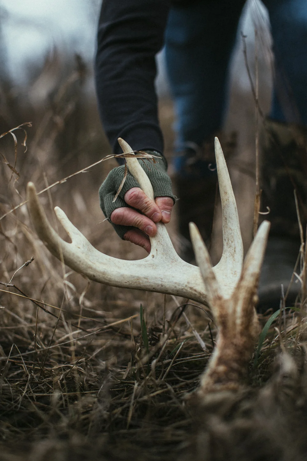 Shed Hunting: The Ultimate Guide — Times To Hunt