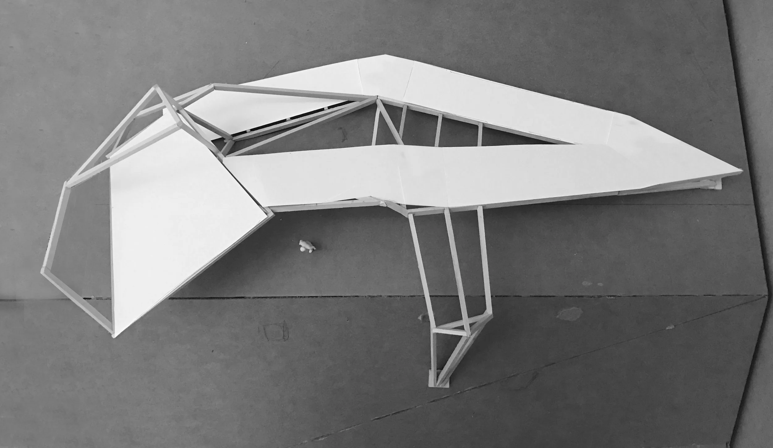 unnamed-4 copy.1.jpg