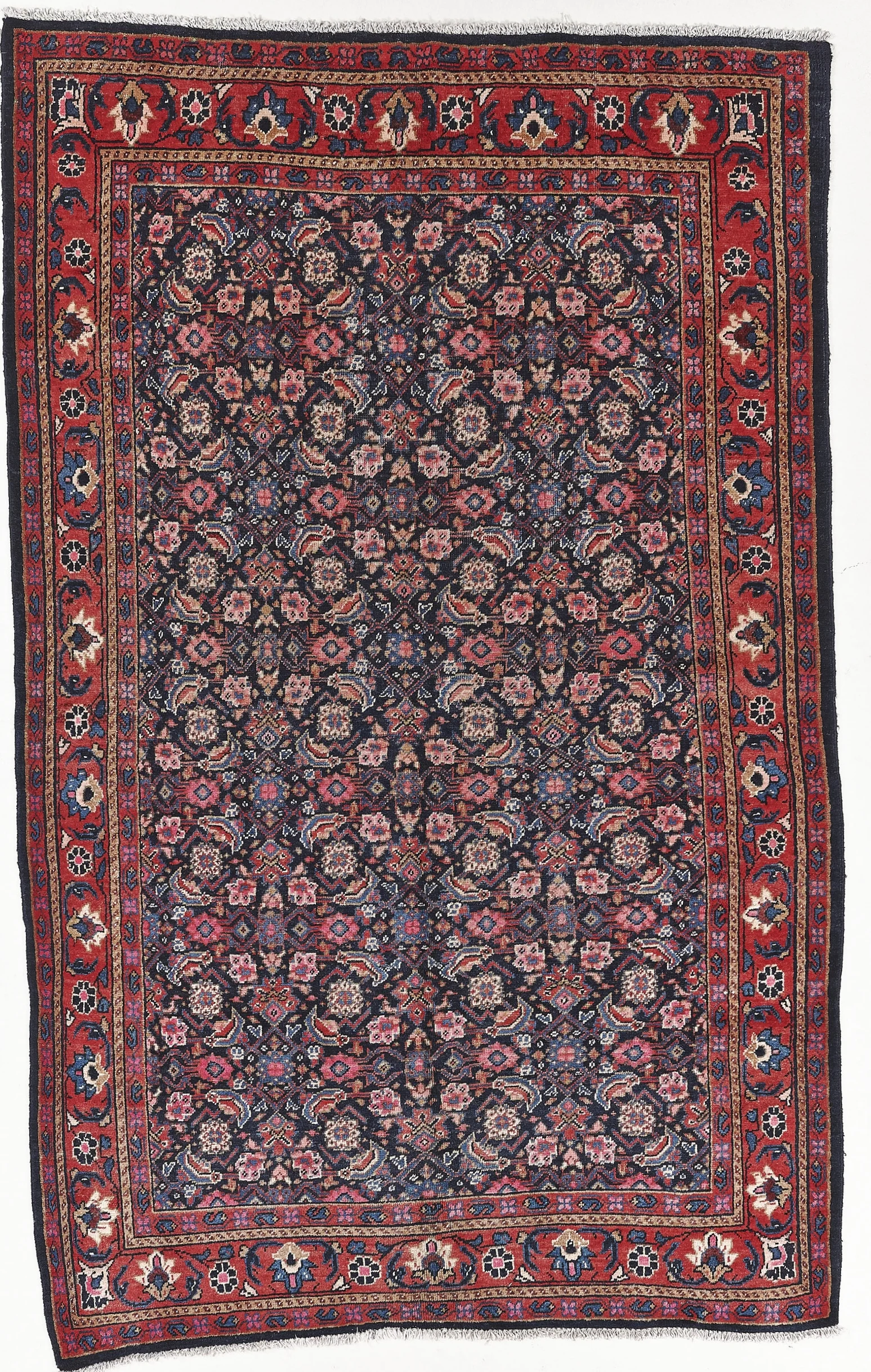 115 SEMI ANTIQUE MALAYER 5-3X8-5JPG IMAGES.jpg