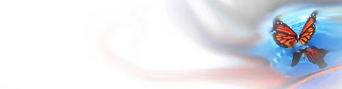 header butterfly.jpg