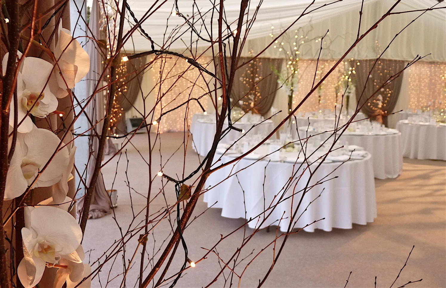  Romantic Woodland Wedding: Birch and orchid detail 