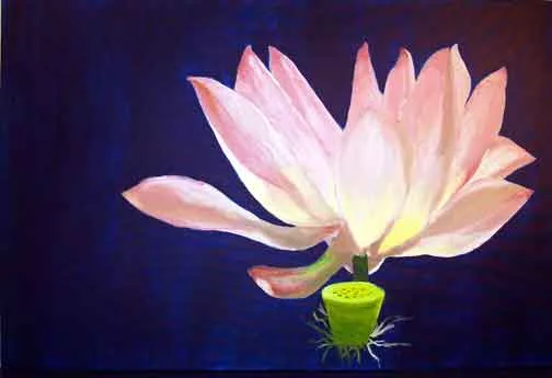 Big Lotus
