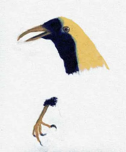 Blue, Yellow, and Transparent Bird