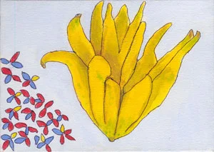 Buddha Hand Citrus