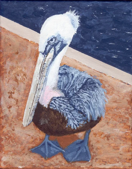 Pelican II