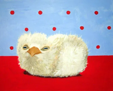 Pygmy Falcon Chick