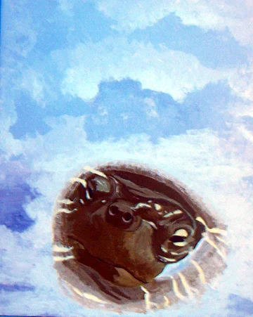 Surfacing 09
